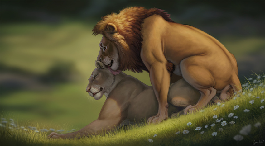 2022 balls blep cheek_tuft chest_tuft claws closed_eyes detailed detailed_foreground digital_drawing_(artwork) digital_media_(artwork) disney duo felid feline felis female female_penetrated feral feral_on_feral feral_only field flower fur genitals grass licking lion male male/female male_penetrating male_penetrating_female mammal mane muscular muscular_female muscular_male nala neck_lick outside pantherine paws penetration plant quadruped realistic reallynxgirl sex shadow sharp_teeth simba tan_body tan_fur the_lion_king the_lion_king_(2019) tongue tongue_out vaginal_penetration yellow_body yellow_fur