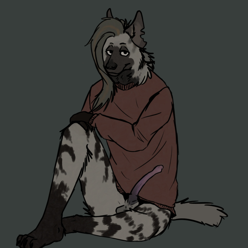 anatomically_correct anthro balls bottomless clothed clothing genitals hair hi_res hyaenid hyaenid_penis looking_at_viewer male mammal shirt solo strana_(artist) striped_hyena stripes topwear