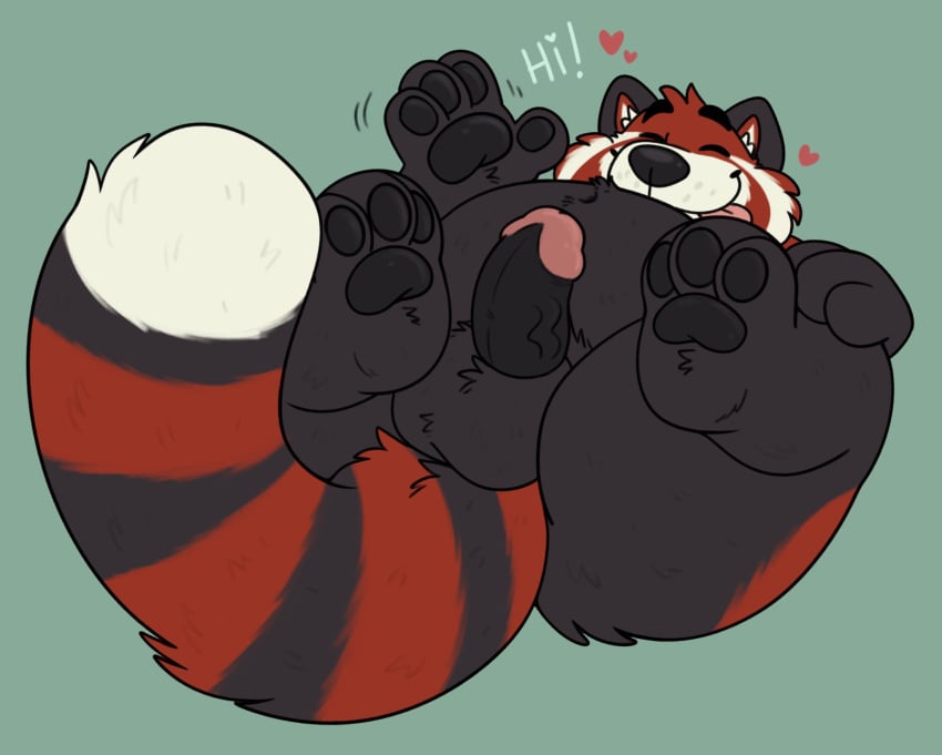 2022 ailurid anthro balls belly black_body campfire_donut closed_eyes erection genitals heart hi_res humanoid_genitalia humanoid_penis lying male mammal overweight overweight_male penis red_body red_panda simple_background solo