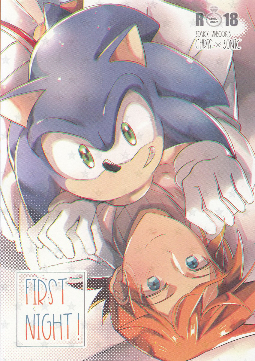 2017 2boys anthro brown_hair chris_thorndyke comic content_rating cover_page duo english_text fur furry human krsnprpr male r-18 sega sonic_(series) sonic_the_hedgehog sonic_the_hedgehog_(series) tagme text