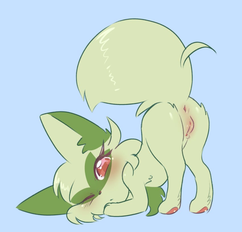 2022 anus ass ass_up blue_background blush body_blush digital_media_(artwork) eyelashes facial_tuft female feral fur furry furry_only generation_9_pokemon genitals glistening glistening_eyes green_body green_fur head_tuft kipaki looking_at_viewer looking_back looking_back_at_viewer nintendo one_eye_closed pawpads pink_pawpads pokémon_(species) pokemon pokemon_sv presenting presenting_anus presenting_hindquarters presenting_pussy pussy pussy_blush raised_tail red_eyes simple_background solo sprigatito tail tail_tuft tuft video_games