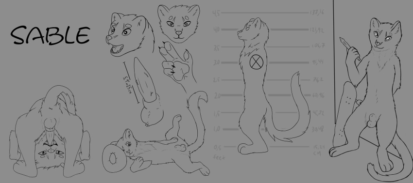 Sable (Marten) Rule 34 Image