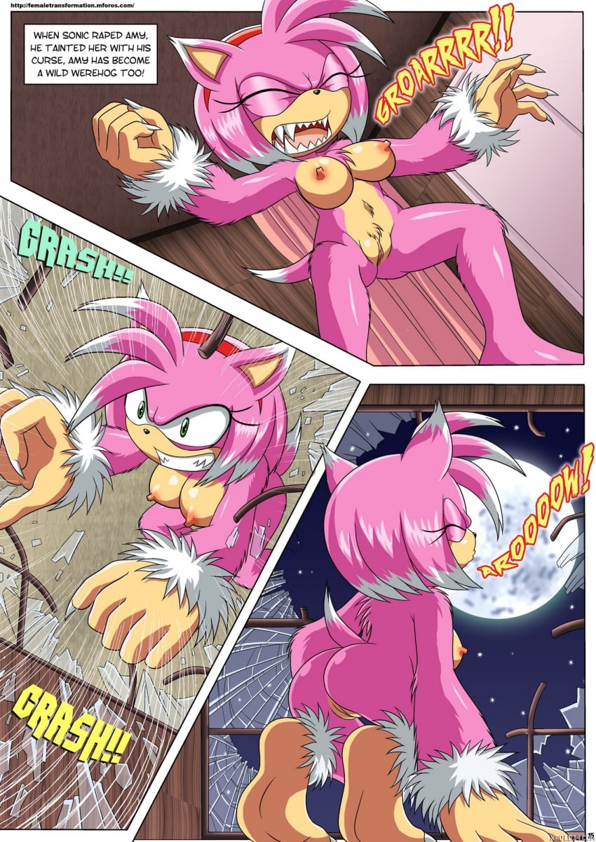 Amy Rose (Sega) Rule 34 Image
