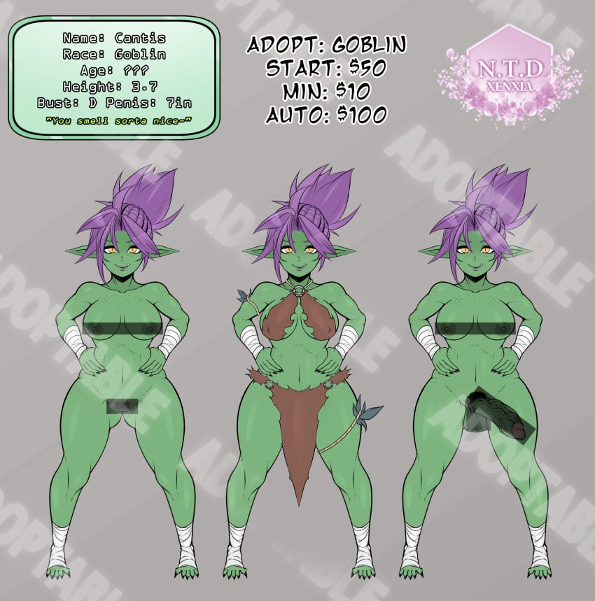 1futa 1girls adoptable areolae atelier_sol_aer balls bar_censor big_breasts big_penis breasts censored censored_breasts clothed clothing cup_size d-cup_breasts erection female full_body futanari goblin goblin_female goblin_futanari humanoid humanoid_penis mostly_nude nipples nude penis purple_hair reference_image reference_sheet self_upload solo standing xenxia ych