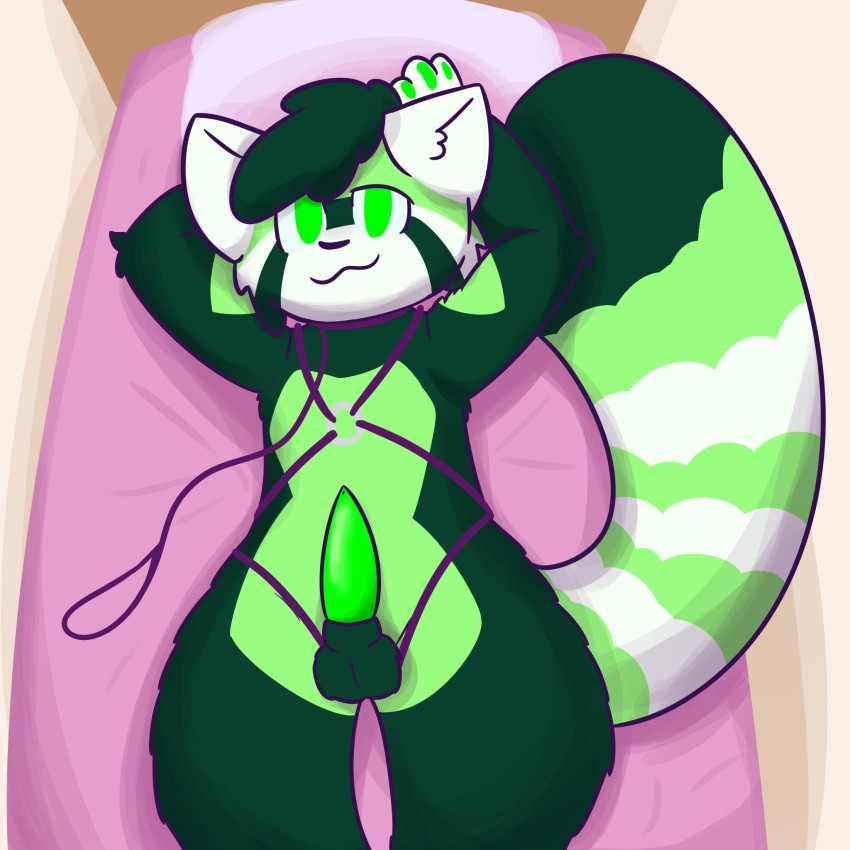 ailurid anthro balls bed cupoflavender digital_media_(artwork) fur furniture genitals green_body green_eyes green_fur green_penis hair harness hi_res leash looking_at_viewer lying male male_only mammal on_back on_bed penis red_panda smile solo solo_male submissive tapering_penis toxic_(mountandrew)