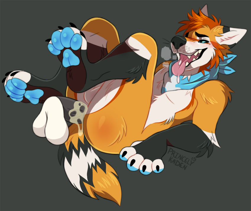 Fingerless (Marking) Rule 34 Image