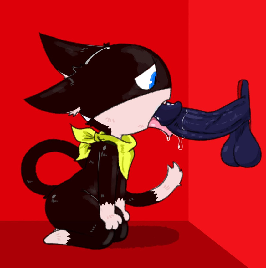 anthro atlus bandana black_body black_fur blue_eyes domestic_cat duo felid feline felis fellatio fur glory_hole hi_res kerchief male male/male mammal mask megami_tensei megami_tensei_persona morgana_(persona) nylonheretic oral penile sex video_games white_body white_fur yellow_bandanna yellow_kerchief