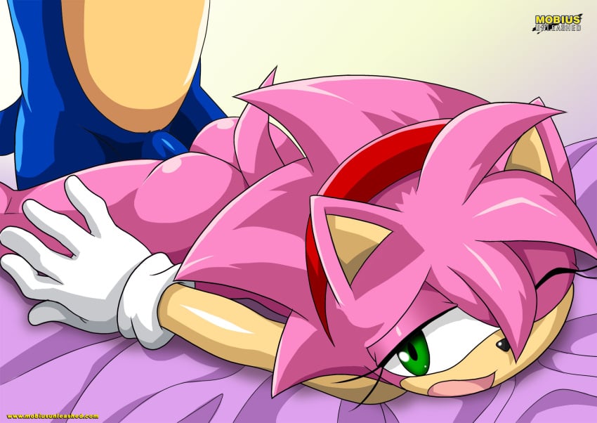 1boy 1girls amy_rose anthro ass bbmbbf classic_amy_rose female male male/female mobius_unleashed nude one_eye_closed open_mouth palcomix penis sega sex sonic_(series) sonic_the_hedgehog sonic_the_hedgehog_(series) tongue vaginal vaginal_penetration vaginal_sex