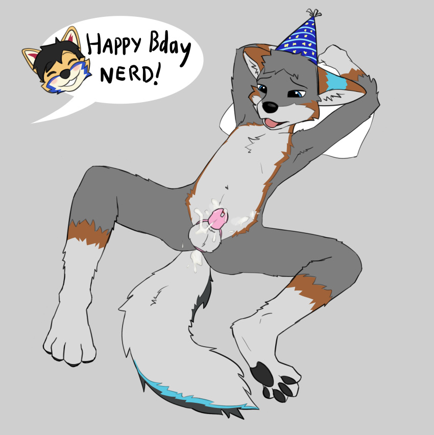 absurd_res anthro balls birthday bodily_fluids canid canine chastity_cage chastity_device cum cum_inside cum_on_self fluffydave fox genital_fluids genitals grey_fox hands_behind_head hi_res male mammal pawpads solo spread_legs spreading tongue tongue_out urocyon