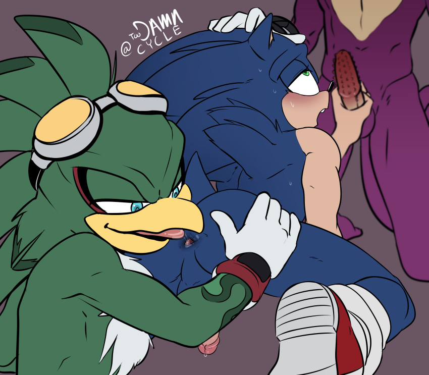 anthro anus balls espio_the_chameleon exposed_torso footwear furry gay gay_sex handwear humanoid jet_the_hawk licking_ass masturbation penis sonic_(series) sonic_the_hedgehog sonic_the_hedgehog_(series) threesome toodamncycle yaoi