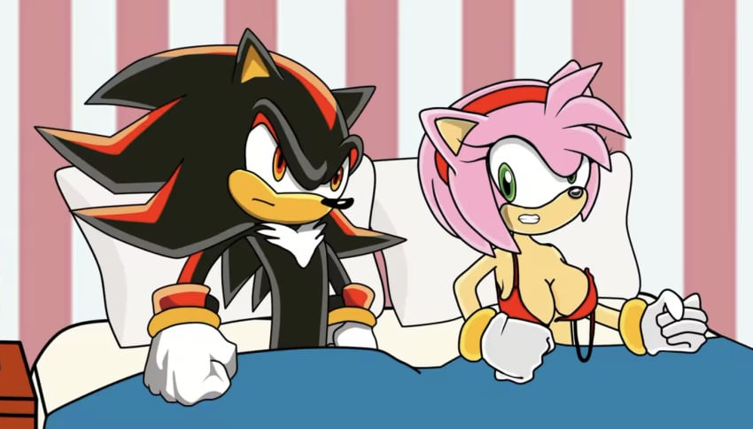 amy_rose cartoon_hook-ups furry motel sega shadow_the_hedgehog sonic_(series) sonic_the_hedgehog_(series) tagme winky_dink_media