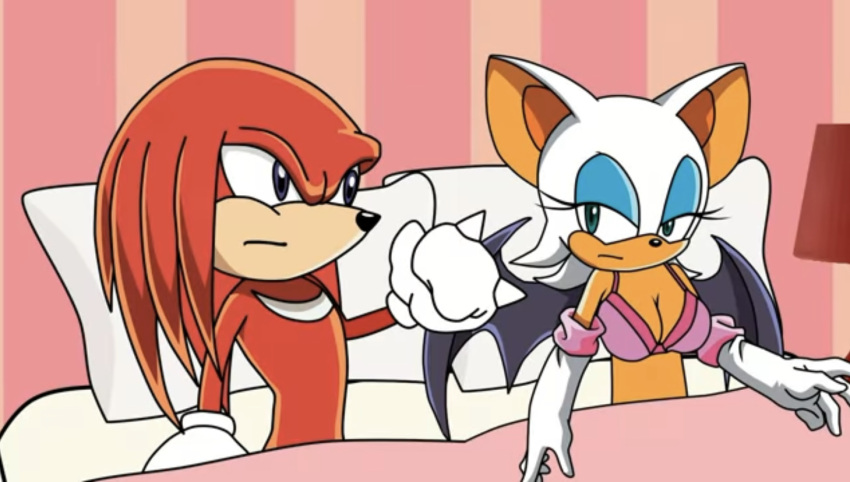 cartoon_hook-ups furry knuckles_the_echidna motel rouge_the_bat sega sonic_(series) sonic_the_hedgehog_(series) tagme winky_dink_media