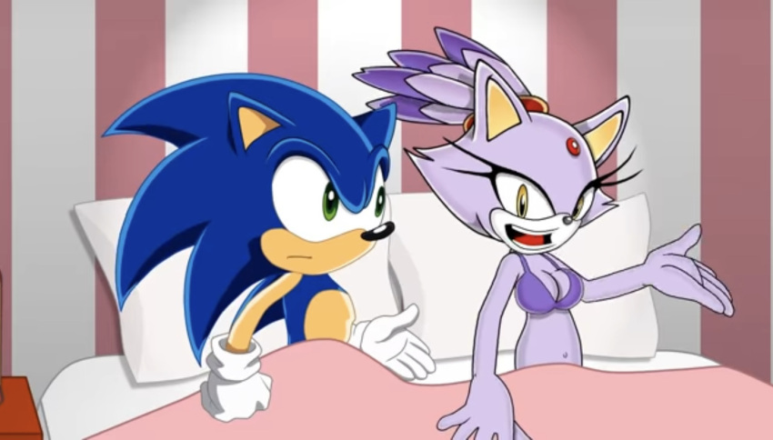 blaze_the_cat cartoon_hook-ups furry meme motel sega sonic_(series) sonic_the_hedgehog sonic_the_hedgehog_(series) tagme winky_dink_media