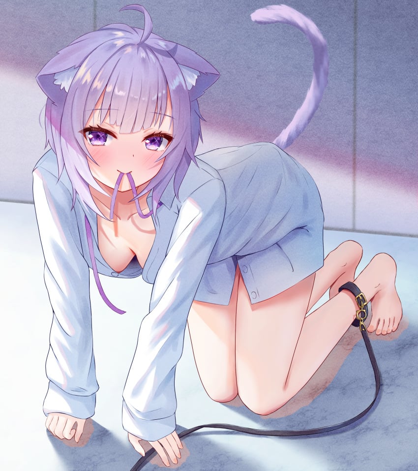 absurdres ahoge all_fours alternate_costume animal_ear_fluff animal_ears areola_slip bangs bare_legs barefoot blush breasts cat_ears cat_girl cat_tail downblouse female full_body hanging_breasts highres hololive hololive_gamers hololive_japan leash long_sleeves looking_at_viewer medium_breasts mouth_hold naked_shirt nekomata_okayu no_bra purple_hair purple_ribbon ribbon ribbon_in_mouth shirt sleeves_past_wrists smile solo tail thorny virtual_youtuber white_shirt