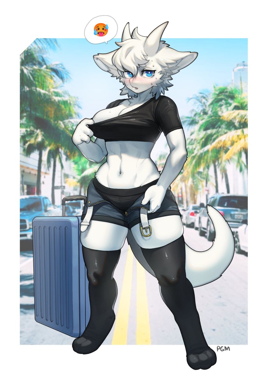 1girls anthro background belt belt_unbuckled big_breasts black_panties blue_eyes blush breasts clothed clothed_female crop_top female furry midriff photo_background pulling_clothing schewiener shorts solo suitcase tail thick_tail thick_thighs thighhighs unzipped_shorts white_fur