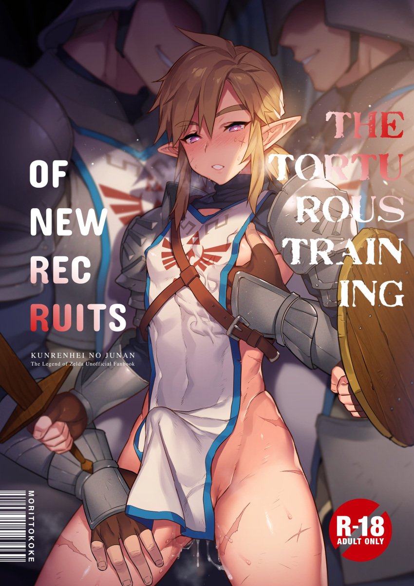 2021 absurd_res armor blush blush_lines bodily_fluids breath_of_the_wild clothed clothing cover cover_art cover_page cum english_text erection erection_under_clothing genital_fluids grope groping_chest group hair hi_res holding_object holding_shield holding_sword holding_weapon humanoid humanoid_pointy_ears hylian link male male/male melee_weapon morikoke nintendo practice_sword shield smile sword text the_legend_of_zelda trio video_games weapon wooden_shield wooden_sword