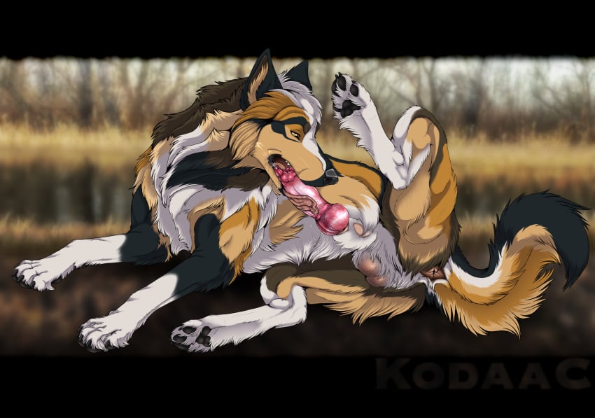 Animal Genitalia Rule 34 Image