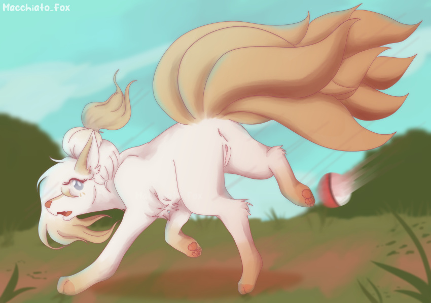 anus female feral genitals hair hi_res latte_(macchiato_fox) macchiato_fox multi_tail ninetales nintendo pawpads pokémon_(species) pokeball pokemon pussy running simple_background solo tied_hair video_games