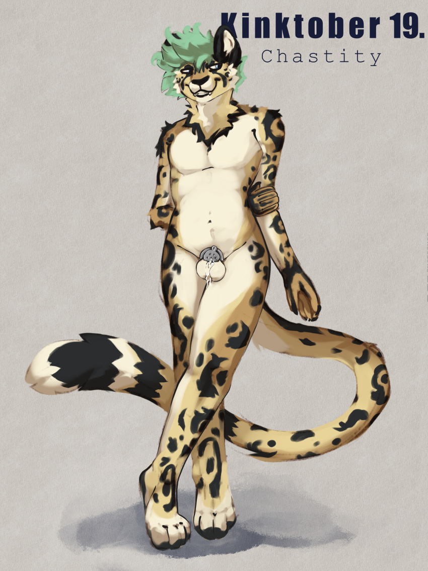 absurd_res chastity_cage chastity_cage_only chastity_device chastity_device_only chastity_seal cheetah felid feline hi_res kinktober male mammal no_humans sketchotterly solo