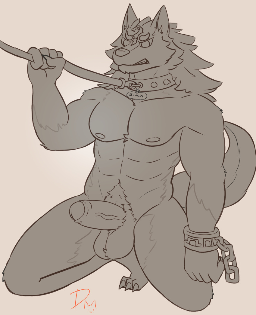 absurd_res anthro balls canid canine clenched_teeth collar collar_only cuff_(restraint) dangermons fur genitals hi_res humanoid leash leash_pull link male mammal muscular nintendo nipples nude penis restraints shackles simple_background solo teeth the_legend_of_zelda thick_penis twilight_princess wolf_link