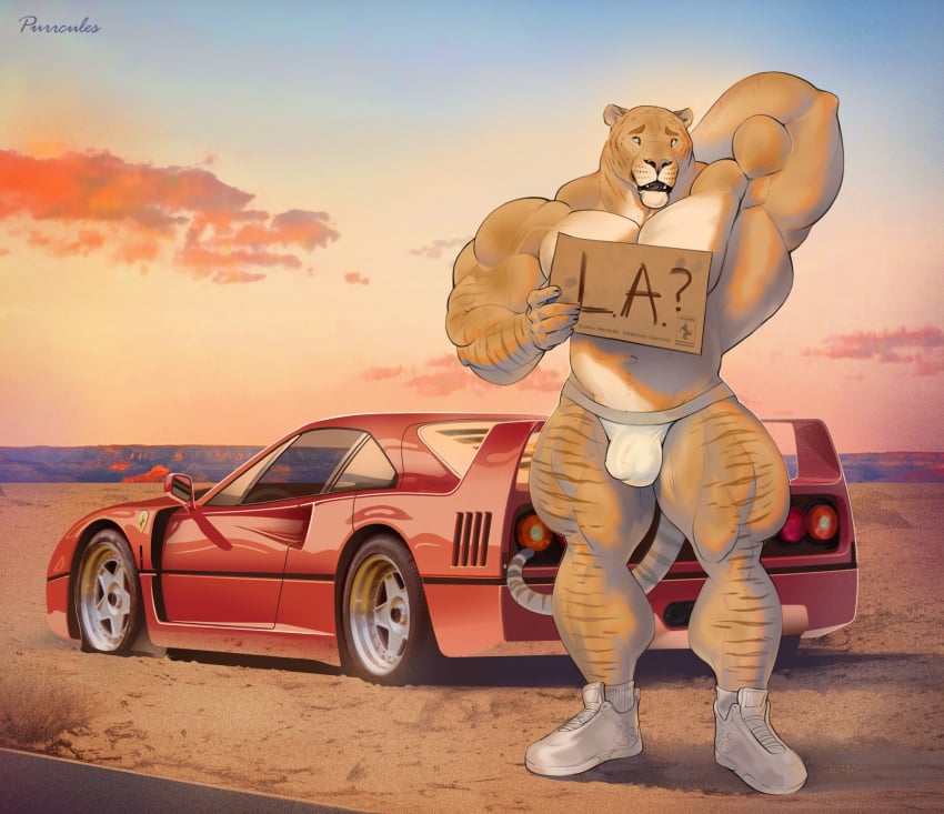 anthro benji_(mainlion) biceps big_muscles bulge car clothing desert detailed_bulge felid ferrari_f40 flat_tire footwear hand_behind_back hi_res hitchhiking holding_object holding_sign huge_muscles hybrid liger male mammal mostly_nude muscular muscular_calves muscular_male open_mouth pantherine purrcules_(artist) quads shoes sign solo standing underwear vehicle