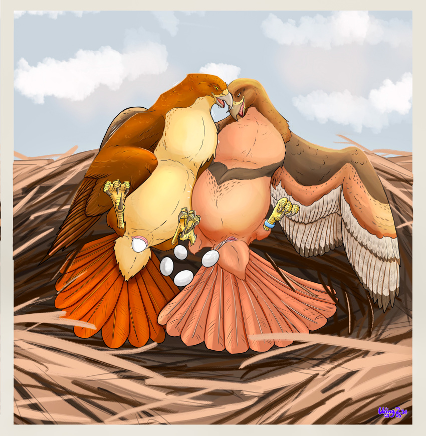 2girls absurd_res accipitrid accipitriform animal_genitalia ankle_band avian beak big_belly bird bodily_fluids breath brown_body brown_feathers buteo chickenhawk claws cloaca cloaca_juice cloacal digital_media_(artwork) duo egg egg_from_cloaca egg_laying evi feathered_wings feathers feet female feral genital_fluids genitals hi_res looking_pleasured lying nest on_back open_mouth outside panting pregnant pregnant_female pregnant_feral red-tailed_hawk red_body red_feathers smile tail talons toes white_body white_feathers wings wingz31 yksteldus