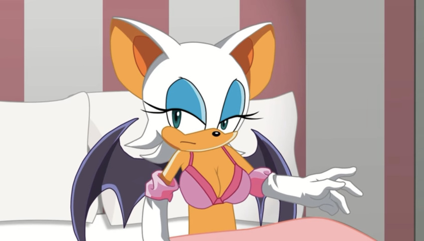 cartoon_hook-ups furry motel rouge_the_bat sega sonic_(series) sonic_the_hedgehog_(series) tagme winky_dink_media