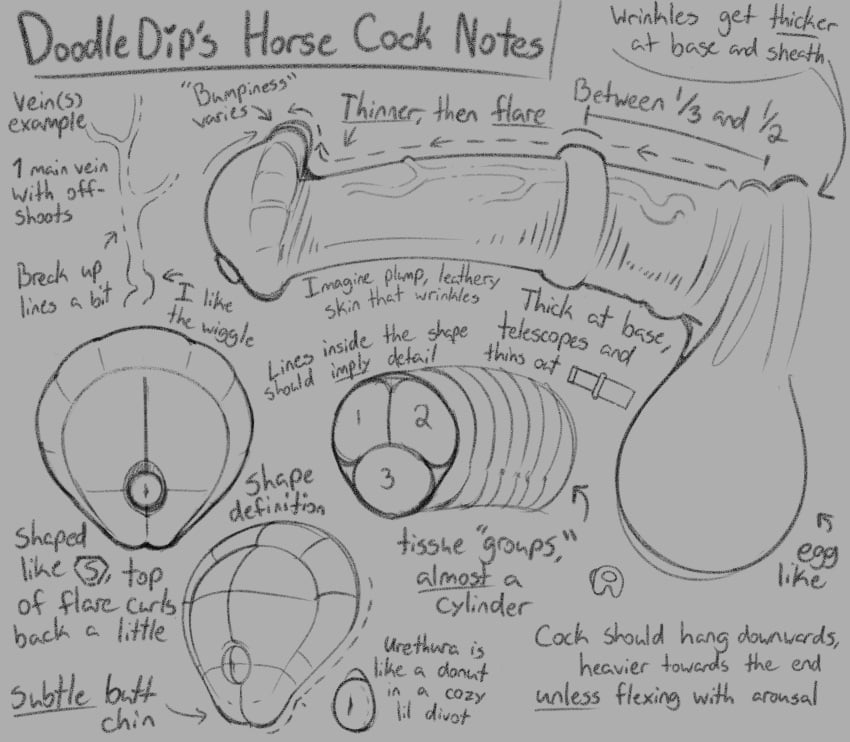 2024 absurd_res animal_genitalia animal_penis balls doodle_dip english_text equine_genitalia equine_penis erection genitals grey_background hi_res horsecock how-to medial_ring monochrome penis simple_background text urethra vein veiny_penis