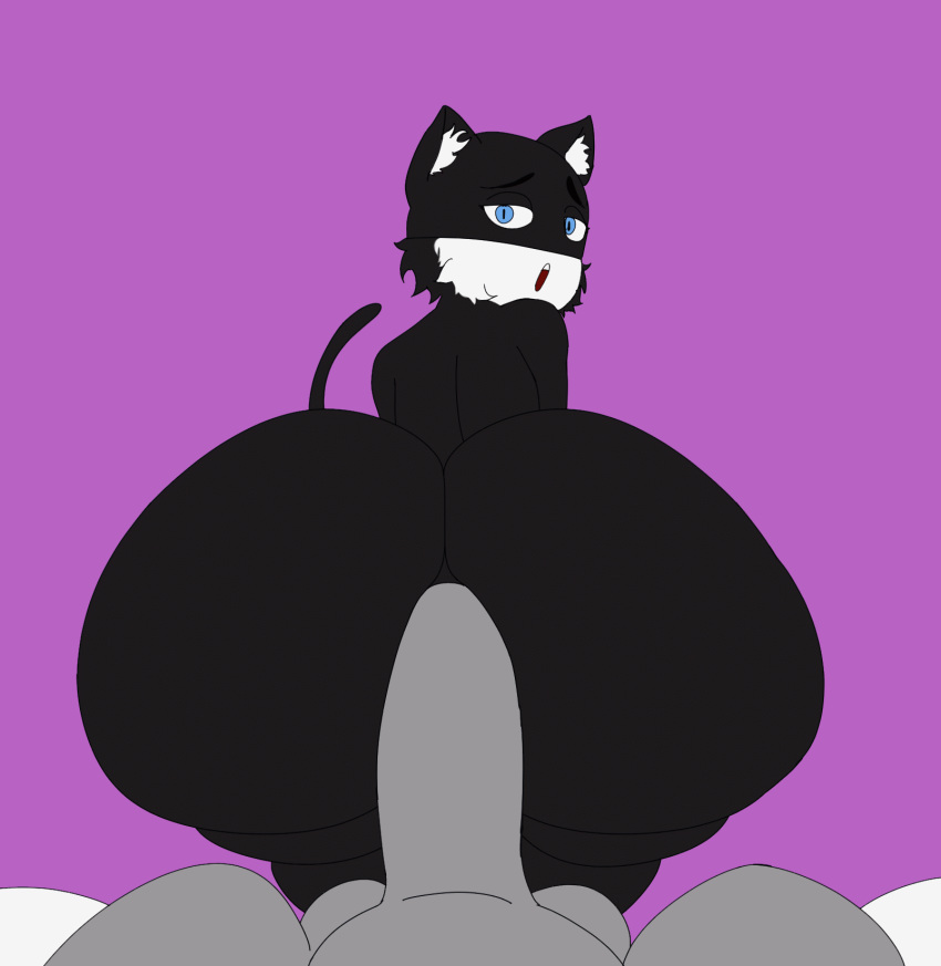 anal anal_sex animated anthro ass asstro balls big_butt big_penis domestic_cat duo felid feline felis genitals hi_res huge_butt looking_back male male/male mammal morgana_(persona) penetration penis persona persona_(series) persona_5 sex short_playtime yaoi