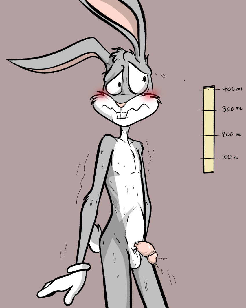 absurd_res anthro balls bladder_gauge blush bodily_fluids bugs_bunny desperation flaccid full_bladder genitals hi_res illegaleel lagomorph leaking_urine leporid looney_tunes male male_only mammal need_to_pee omorashi pee_desperation penis rabbit solo spurting sweat warner_brothers