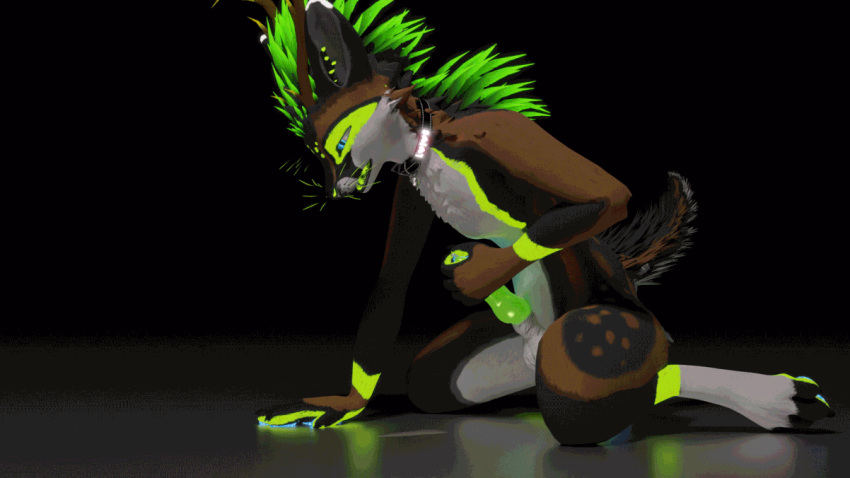 3d 3d_(artwork) 3d_animation animal_genitalia animal_genitals animal_penis animated animated_gif animation anthro anthro_only apple_green_hair balls bell_collar black_collar blender_(software) blue_eyes blue_pawpads brown_fur canine_genitalia canine_genitals canine_penis collar collared deer fur furry furry_only gif glowing_eyes glowing_fur green_feathers green_penis hand_on_floor horn horns kiwidox kiwidox_(artist) knot led_light looking_pleasured male_only metal_collar neon_green nude on_floor panting paws penis precum precum_drip precum_on_penis rexouium simple_background spots_(marking) toe_scrunch twitter url