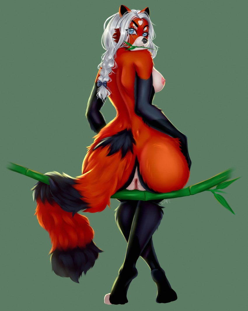 1girls absurd_res ailurid anthro bamboo bamboo_tree black_nose blue_body blue_eyes blue_fur braided_hair breasts female female_solo fluffy fluffy_tail fur genitals hair hi_res long_tail mammal moirah nipples plant pussy red_body red_fur red_panda solo tree white_body white_hair