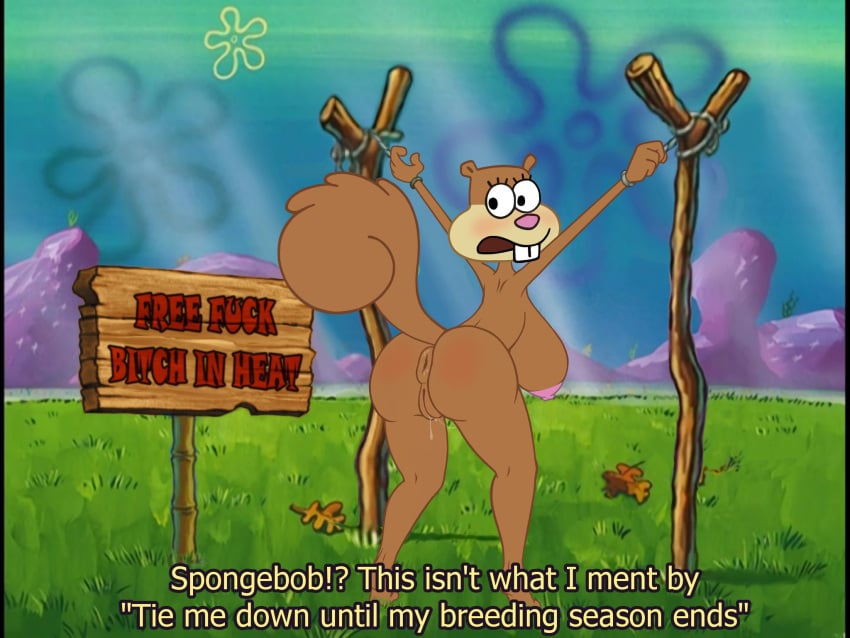 1girls anus big_ass big_breasts black_eyes blush bondage dialog dialogue dripping dubious_consent edit exposed_pussy female_focus female_only free_use furry furry_only monkeyman_(artist) nickelodeon pink_nose public_use puffy_anus rear_view sandy_cheeks screenshot screenshot_edit smooth_skin spongebob_squarepants squirrel tail tied_up