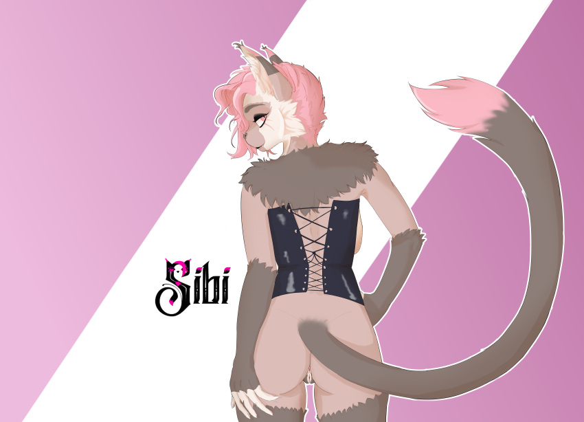 absurd_res anthro anus ass clothing corset domestic_cat felid feline felis female genitals hi_res lingerie maine_coon mammal pussy sibi_(sibi_the_messtress) sibi_the_messtress sibithia_the_cat solo topwear