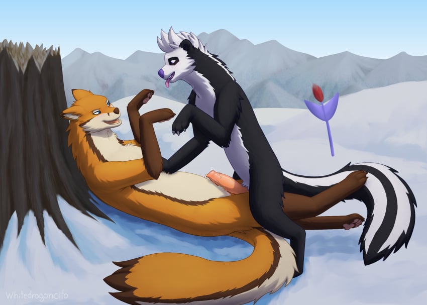 2025 animal_genitalia animal_penis ayabir_(flower) black_body black_fur blue_eyes blush brown_body brown_fur canid canine canine_genitalia canine_penis claws detailed_background digitigrade duo ears_back erection female feral feral_on_feral fox fox_tail full-length_portrait fur genitals hi_res imminent_sex lying male male/female mammal melia_(whitedragoncito) mephitid mountain on_back open_mouth orange_eyes pawpads penis pivoted_ears portrait signature skunk smile snow tongue tongue_out white_body white_fur whitedragoncito