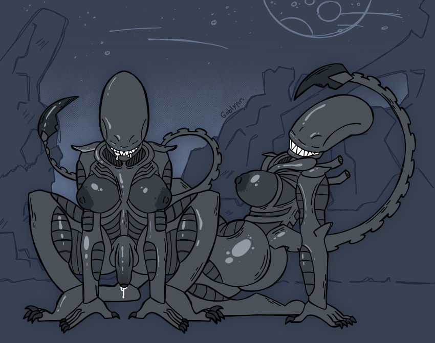 Xenomorph (Alien (Franchise)) Rule 34 Image