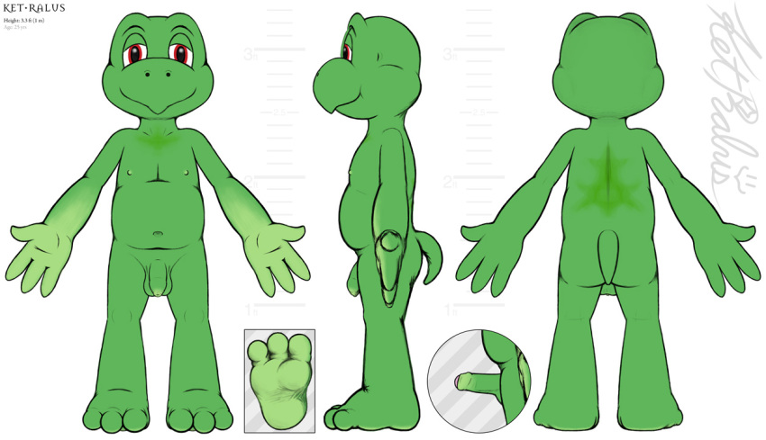 achelthym anthro ass balls erection flaccid green hindpaw ket-ralus ket_ralus_(character) limp male model_sheet nipples nude penis reptile scalie shell-less short turtle uncut