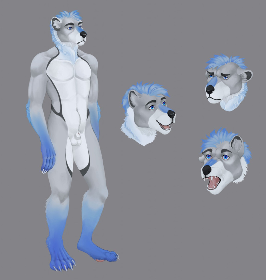 4_toes animal_genitalia anthro balls blue_eyes canid canine claws digital_media_(artwork) feet fur genitals grey_body grey_fur hair hi_res male male_only mammal model_sheet mordorinka nude original_character paws sheath simple_background solo standing toes tongue white_claws