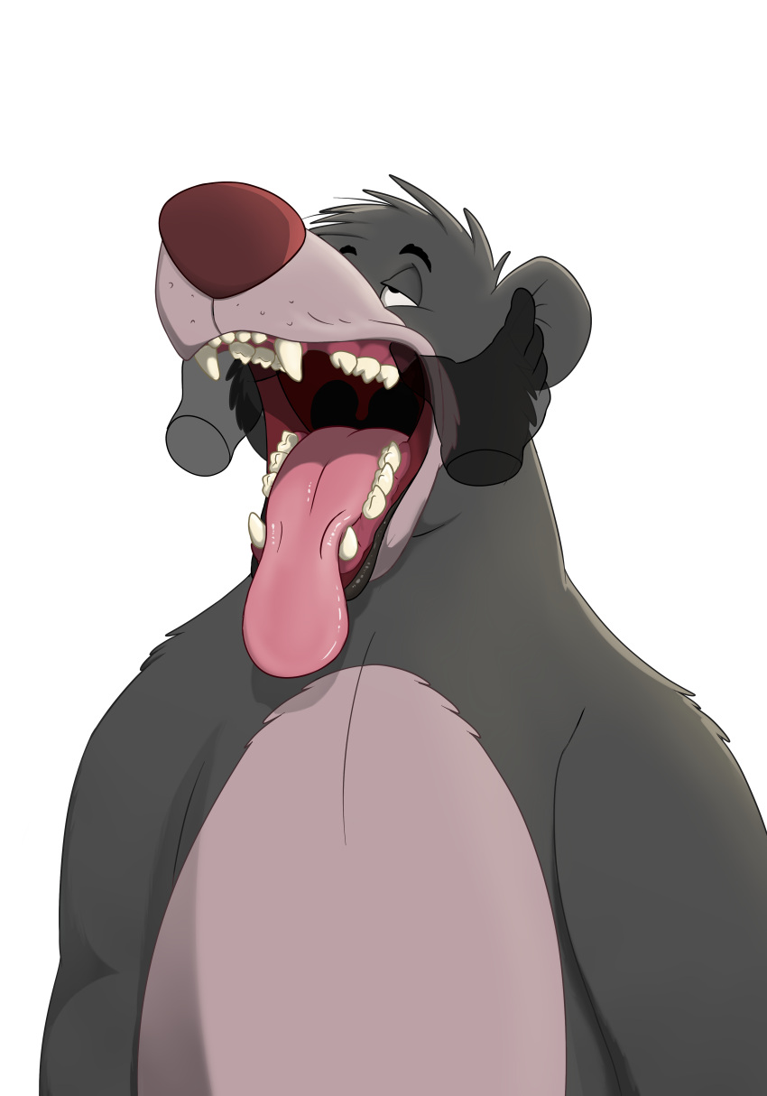 absurd_res anthro baloo disembodied_hand fur ghost_hands grey_body grey_fur hi_res looking_up magzol male mammal mouth_shot open_mouth sharp_teeth solo solo_focus tagme teeth the_jungle_book tongue tongue_out transparent_background ursid