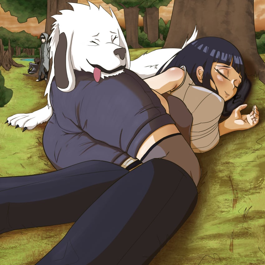 1girls 2boys aburame_shino akamaru_(naruto) alternate_version_available ass ass_focus bare_arms bare_shoulders big_breasts black_socks blue_hair blush boots busty cameltoe canine closed_eyes creedle dat_ass footwear forest hyuuga_hinata interspecies inuzuka_kiba knee_boots large_breasts legwear long_hair naruto naruto:_the_last naruto_(series) naruto_shippuden outdoors outside shorts shounen_jump sleeping sleeveless_shirt smile smiling socks thigh_socks thighhighs tongue tongue_out white_fur zoophilia