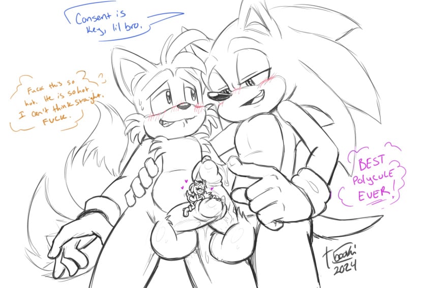 amy_rose balls bisexual erection female furry macro male male_only micro penis precum sega sonic_(series) sonic_the_hedgehog tabooki tails_the_fox yaoi