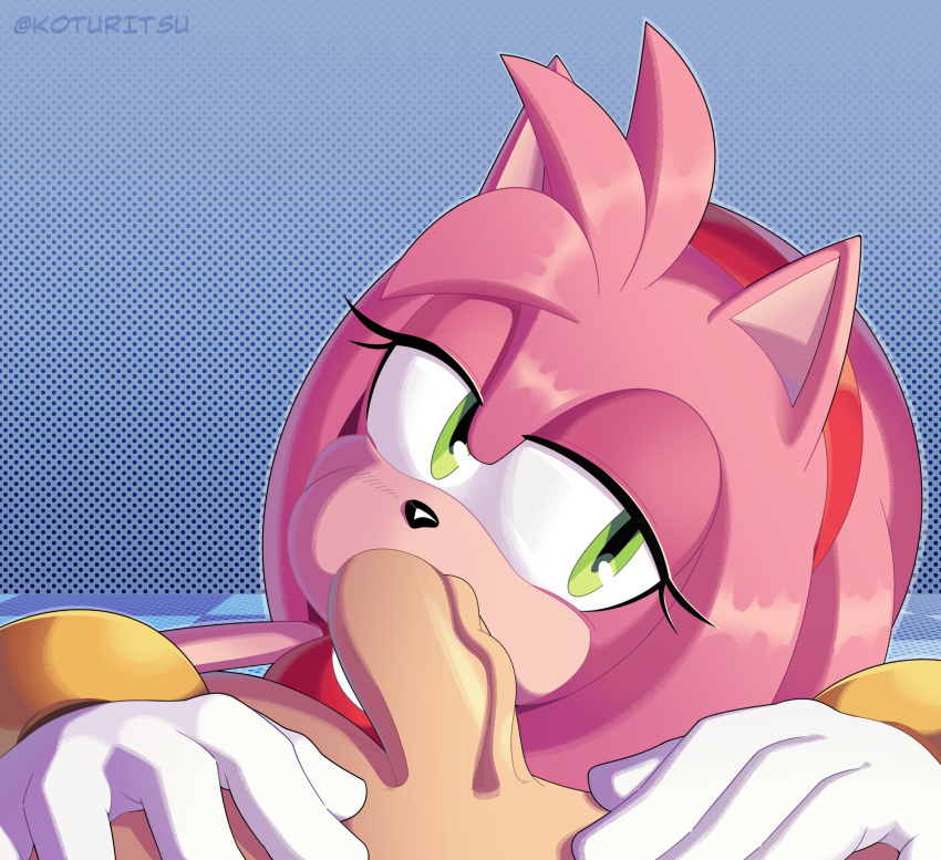 1girls amy_rose koturitsu oral oral_sex sex sonic_(series)