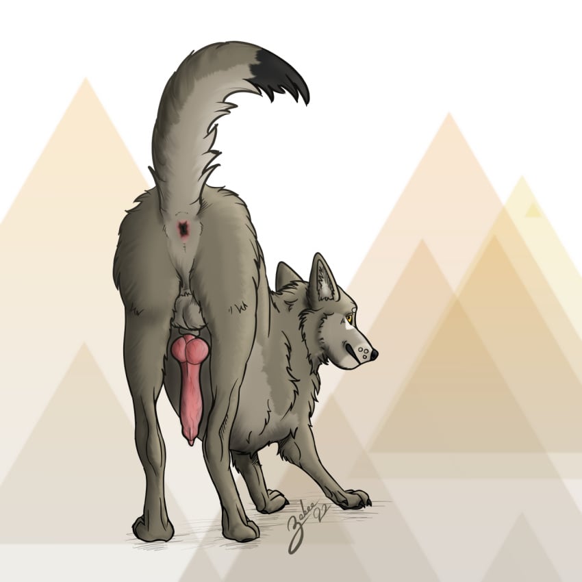 anatomically_correct anatomically_correct_genitalia anatomically_correct_penis animal_genitalia animal_penis anus ass balls black_sclera canid canine canine_penis canis digital_media_(artwork) erection feral fur genitals grey_body grey_fur hi_res knot looking_at_viewer male mammal penis simple_background smile solo wolf yellow_eyes zekee zekee_(artist)