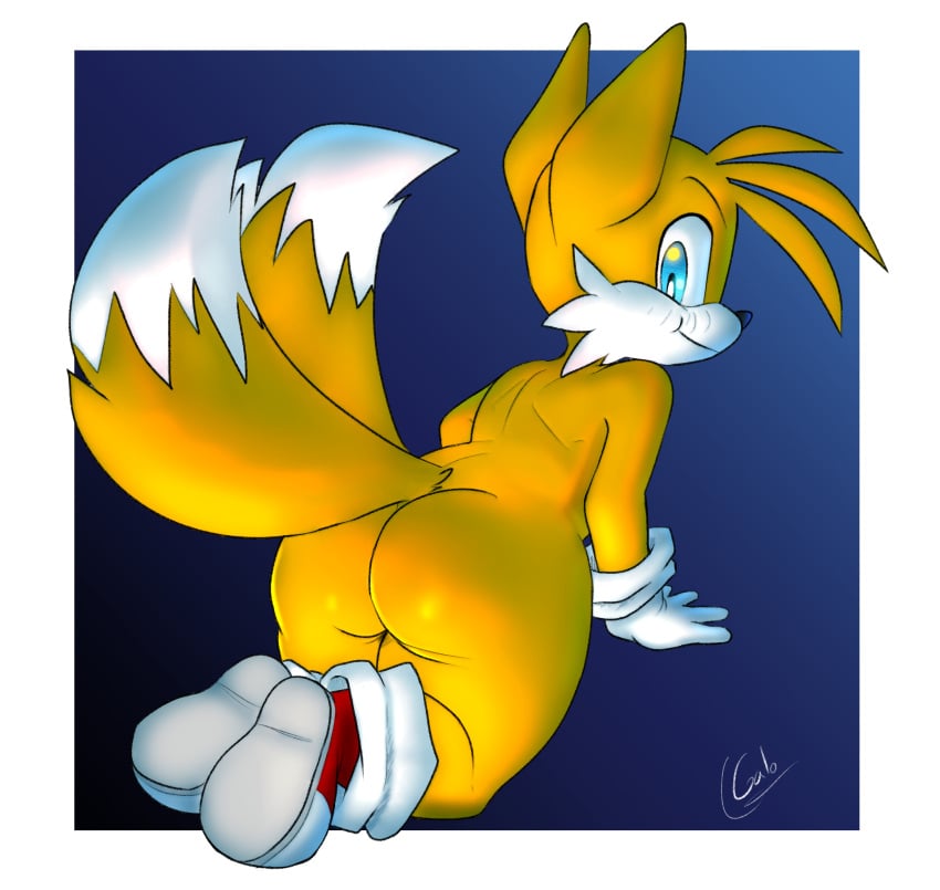 1boy ass big_ass looking_back male male_only miles_prower miles_tails_prower sega solo sonic_(series) tails_the_fox