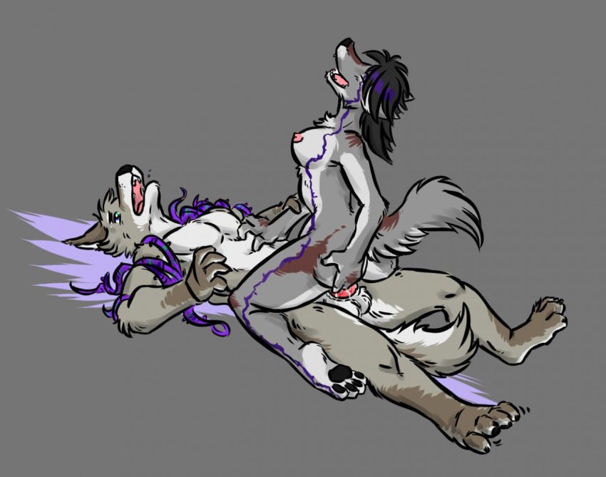 2010 Rule 34 Image