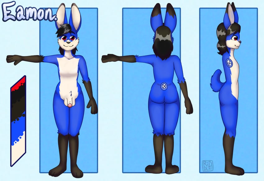 anthro ass balls black_body black_fur black_hair black_nose black_tail blue_body blue_fur cheek_tuft facial_tuft flaccid foreskin front_view fur genitals gloves_(marking) hair hi_res humanoid_genitalia humanoid_penis lagomorph leg_markings leporid looking_at_viewer male mammal markings model_sheet mouth_closed nude penis rabbit rear_view red_eyes riddlr side_view socks_(marking) solo standing tail tuft white_balls white_body white_fur white_penis