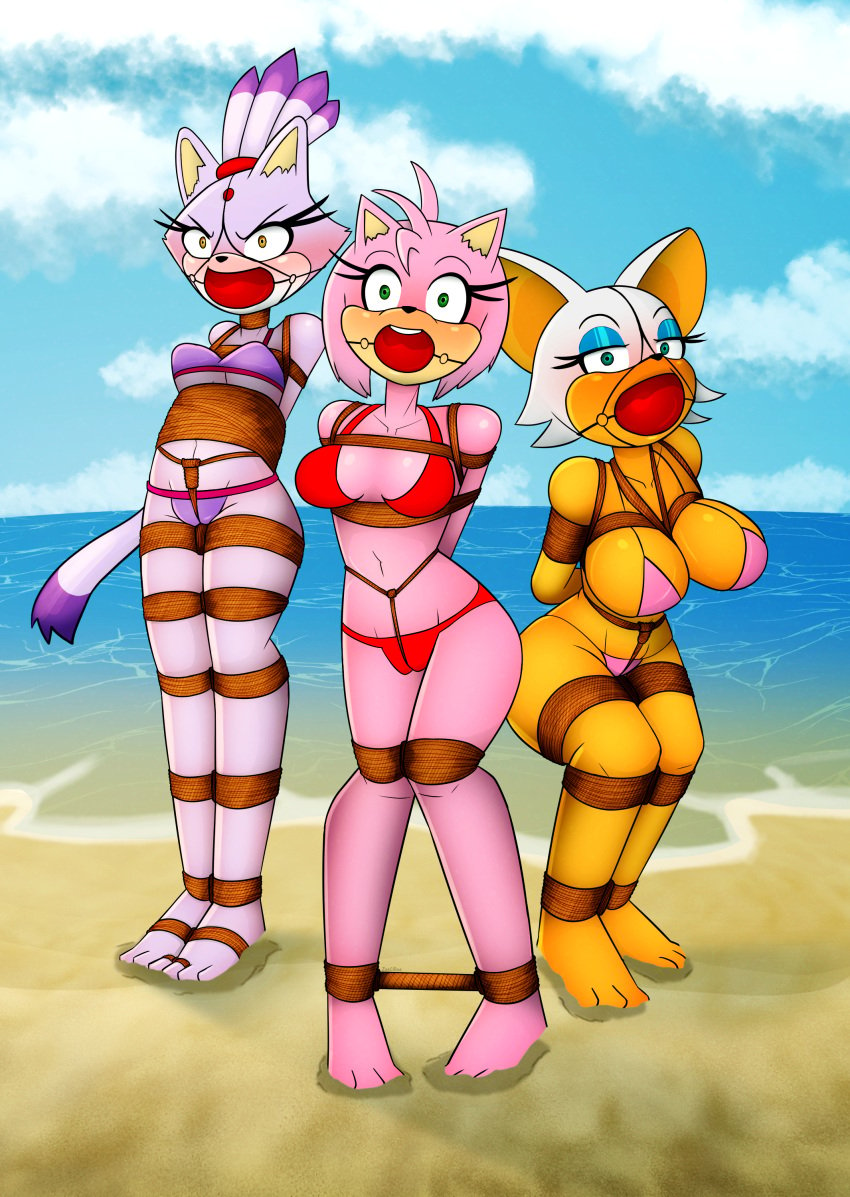 absurd_res amy_rose anthro ball_gag bat beach big_breasts bikini blaze_the_cat blue_eyeshadow bondage bound breasts clothing domestic_cat eulipotyphlan eyeshadow felid feline felis female fur gag green_eyes group hedgehog hi_res makeup mammal medium_breasts pink_body purple_body rouge_the_bat sega sonic_(series) sonic_the_hedgehog_(series) swimwear tan_body two-piece_swimsuit white_body white_fur zeecibee