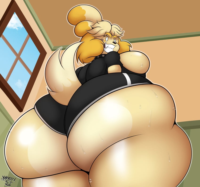 1girls 2022 animal_crossing anthro ass bandaid big_ass big_breasts big_butt breasts bubble_butt bursting_breasts canine clothing dat_ass domestic_dog dumptruck_ass evil_grin huge_ass hyper imminent_facesitting indoors isabelle_(animal_crossing) looking_at_viewer mrxrickyx nintendo shirt shorts smile solo studded_collar sweat textless thick_thighs viewed_from_below wide_hips