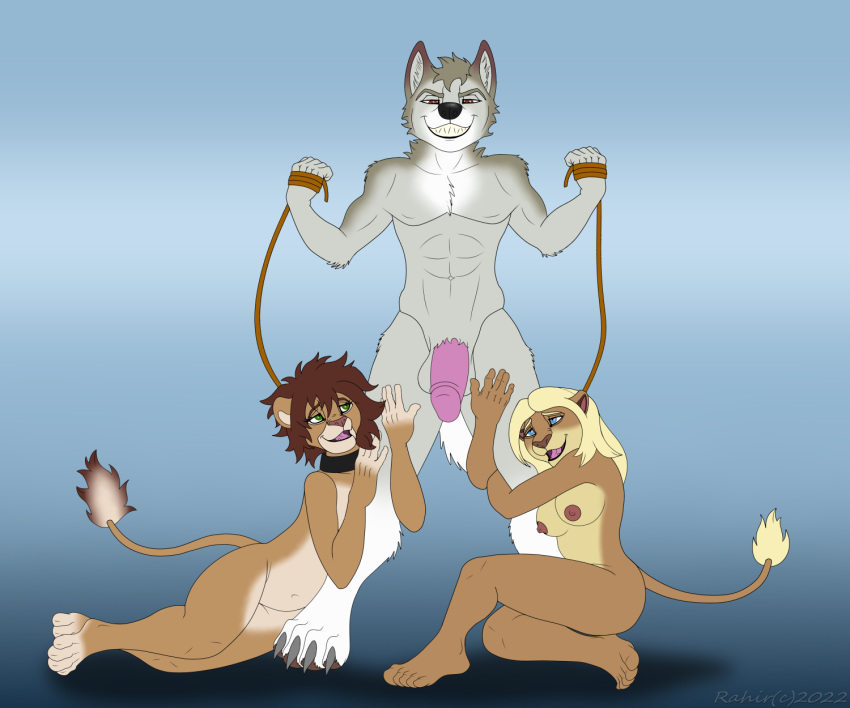 2022 anthro breasts canid canine canis collar digital_media_(artwork) felid feline female furry genitals hi_res invalid_tag leash leashplay lion male mammal nude pantherine penis wolf