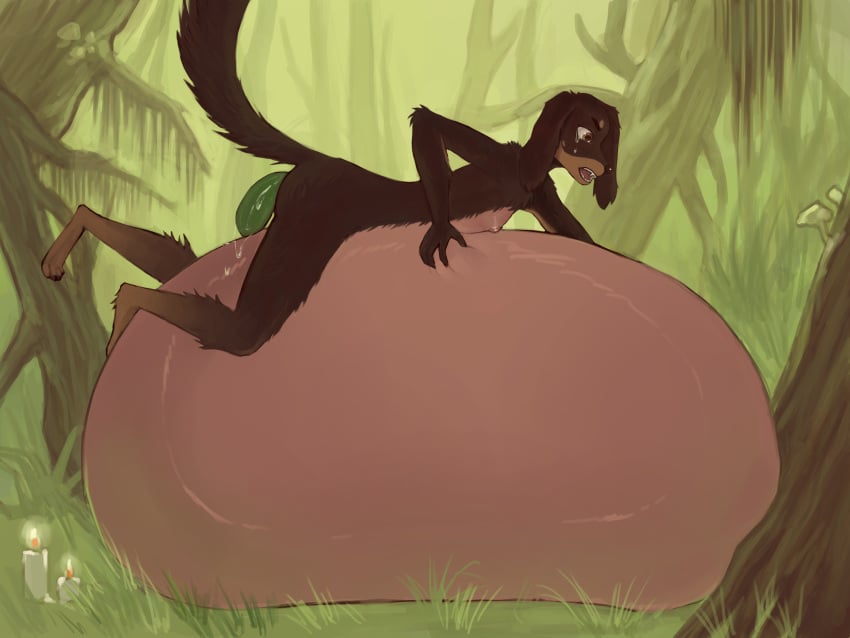 Darkwood Rule 34 Image